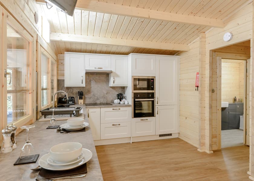 Hedgehog (Pet) - Quarry Walk Lodges, Freehay, Cheadle