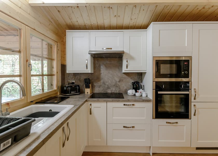 Hedgehog (Pet) - Quarry Walk Lodges, Freehay, Cheadle