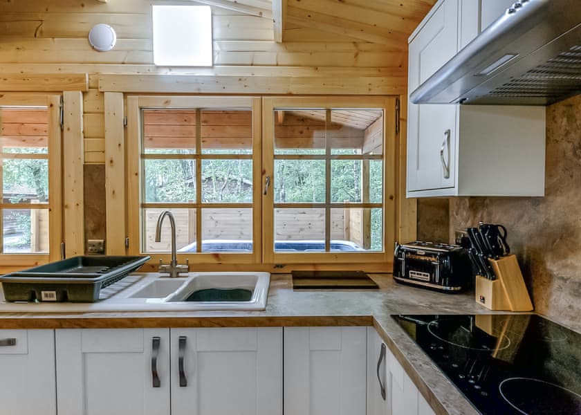 Hedgehog (Pet) - Quarry Walk Lodges, Freehay, Cheadle