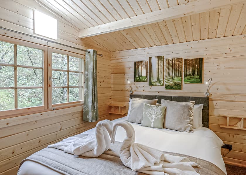 Hedgehog (Pet) - Quarry Walk Lodges, Freehay, Cheadle