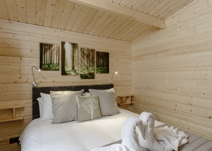 Hedgehog (Pet) - Quarry Walk Lodges, Freehay, Cheadle