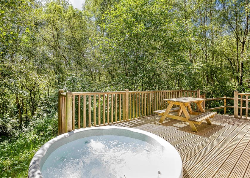 Squirrel Log Cabin 4 - Quarry Walk Lodges, Freehay, Cheadle