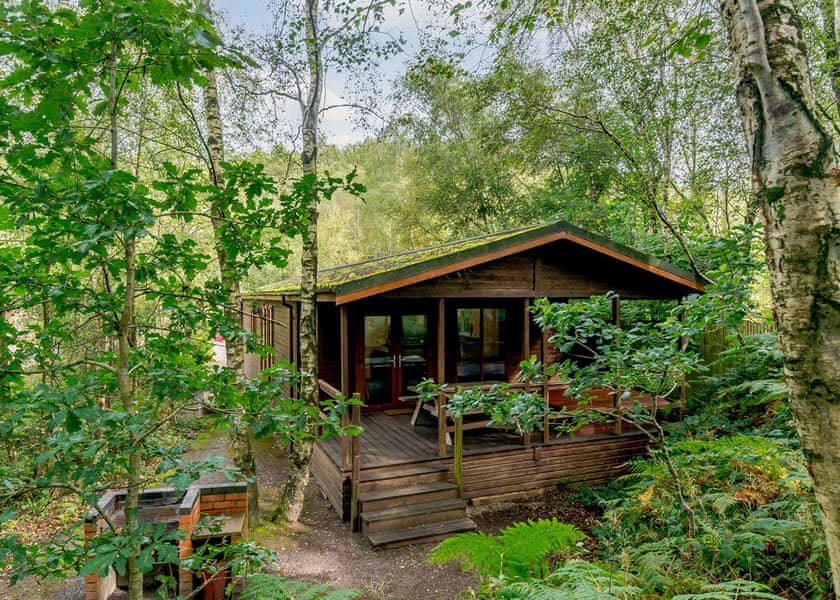 Fox Lodge 6 - Quarry Walk Lodges, Freehay, Cheadle