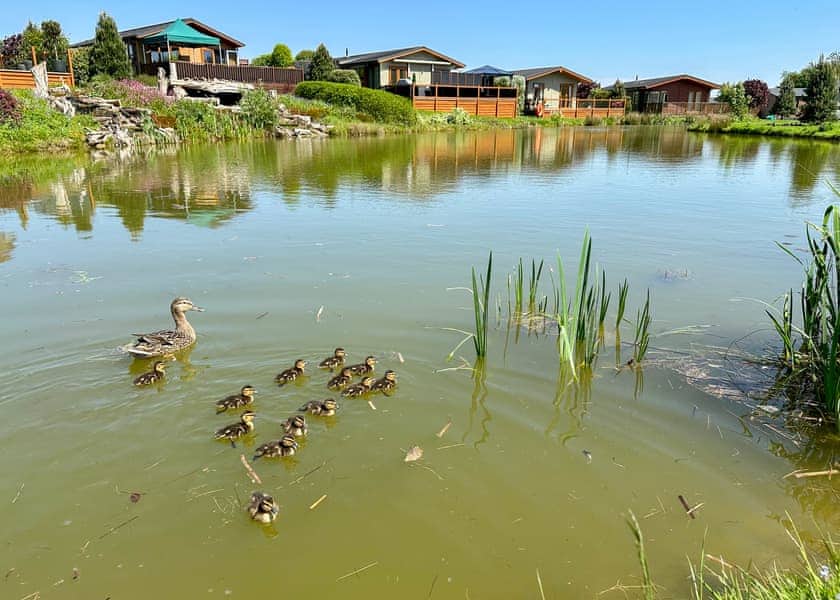 Raywell Hall Country Lodges, Raywell, Beverley