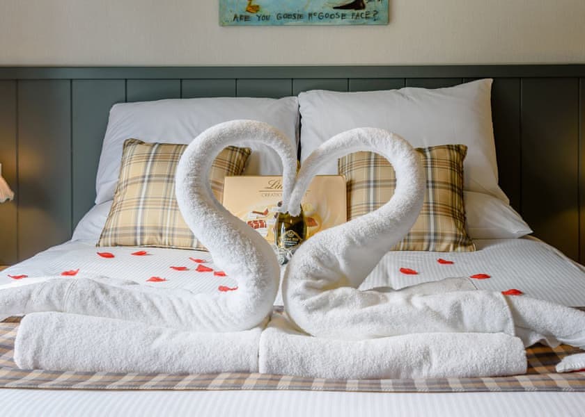 Spa Jubilation (Pet Garden) - Raywell Hall Country Lodges, Raywell, Beverley