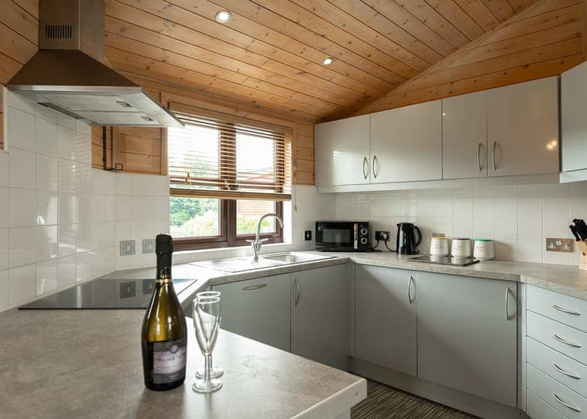 Larchwood Spa - Raywell Hall Country Lodges, Raywell, Beverley