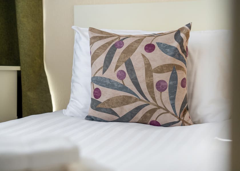 Falcon VIP - Penrhos Park, Llanrhystud, Cardiganshire