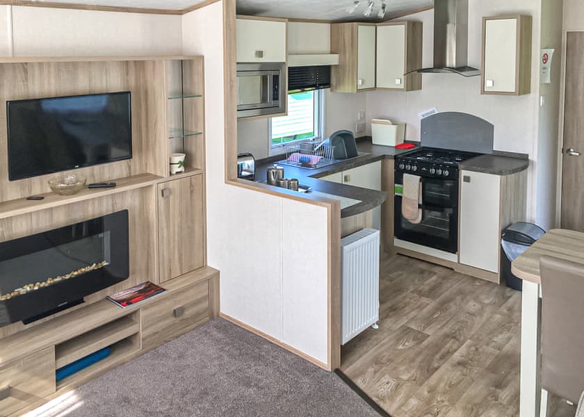 Typical Red Kite Gold | Penrhos Park, Llanrhystud, Cardiganshire