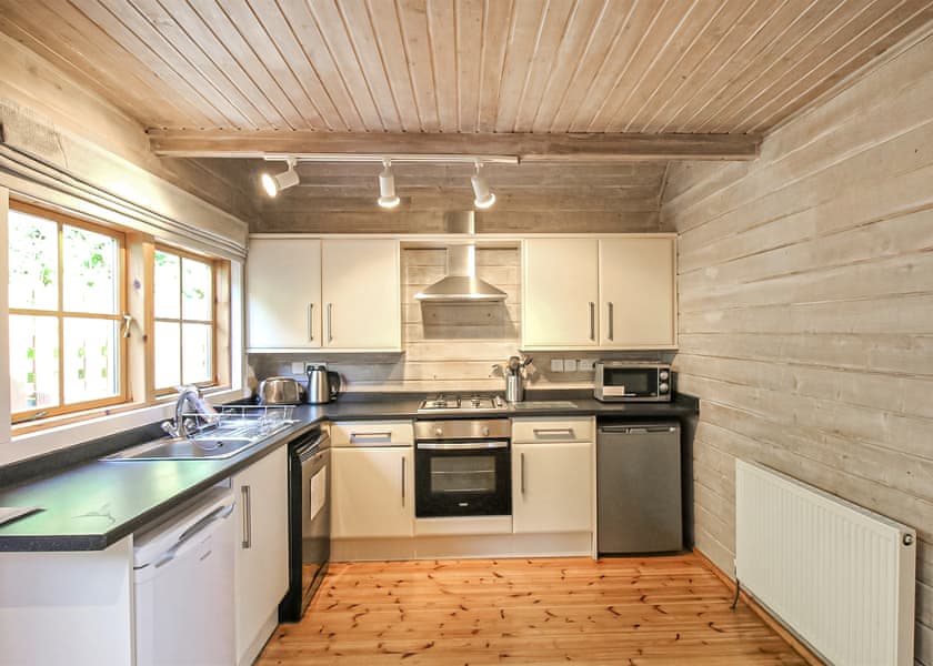 Kestrel VIP (Pet), Kestrel VIP - Penrhos Park, Llanrhystud, Cardiganshire