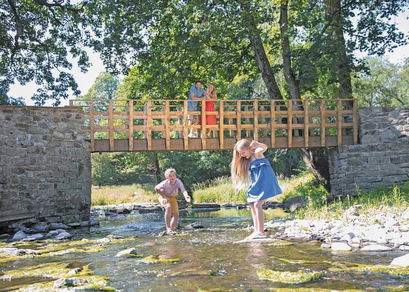 The park setting | Ribblesdale Lodges, Gisburn, Yorkshire Dales