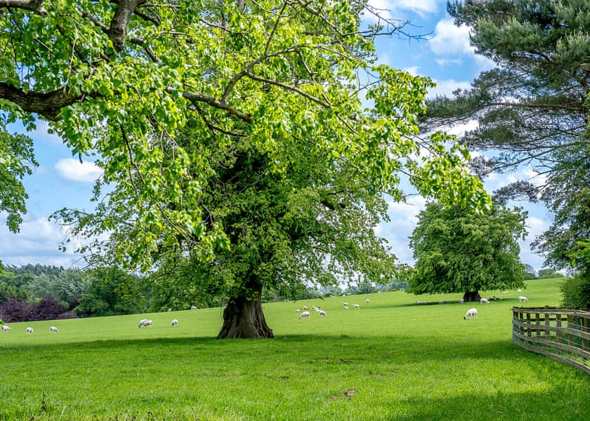 Ribblesdale Lodges, Gisburn, Yorkshire Dales