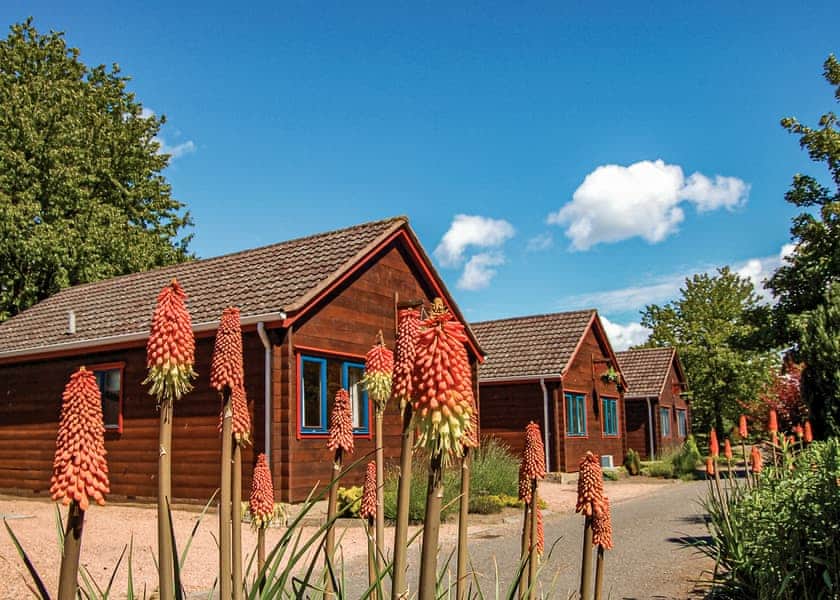 Typical River Edge Lodge