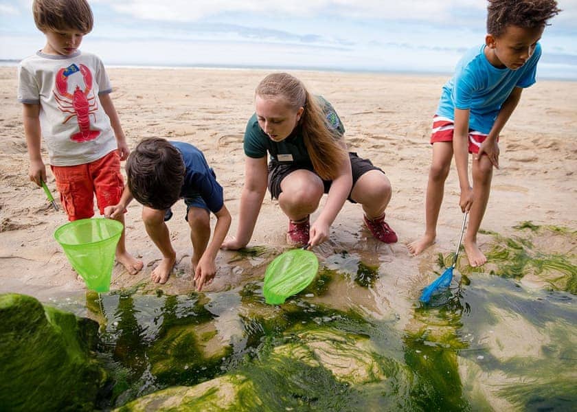 Riviere Sands, Hayle 