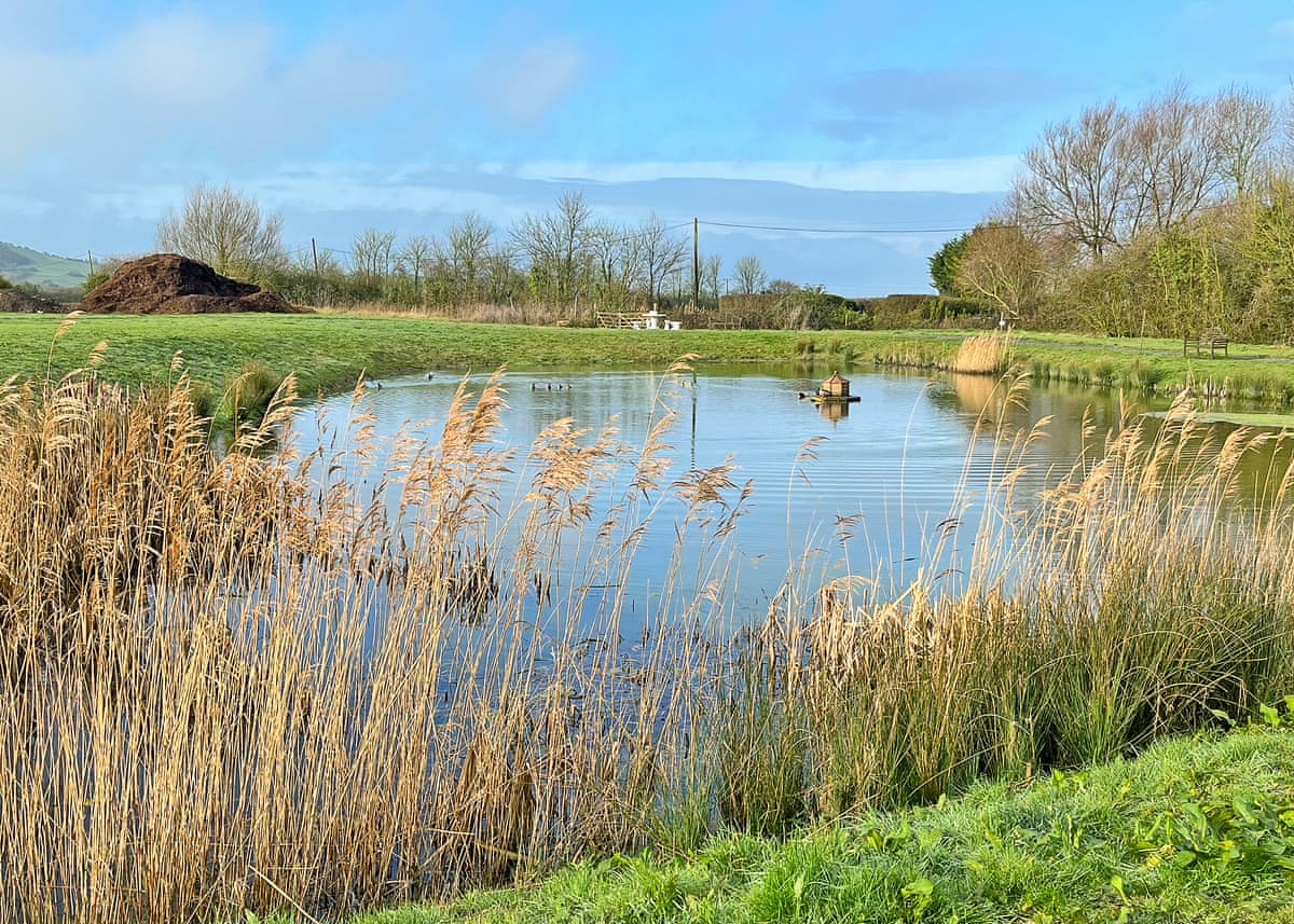 Rookery Manor Lodges - Holiday lodge in South West England - Image 5