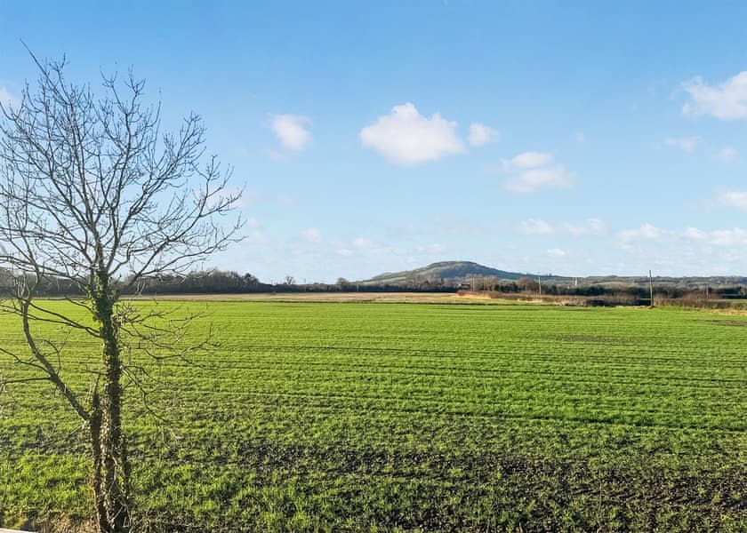 Cedar Lodge - Rookery Manor Lodges, Edingworth