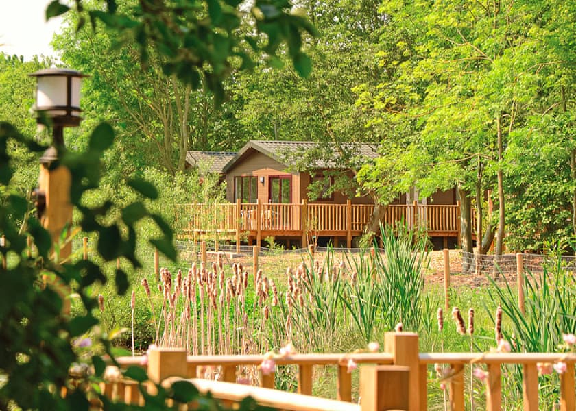 The park setting<br />