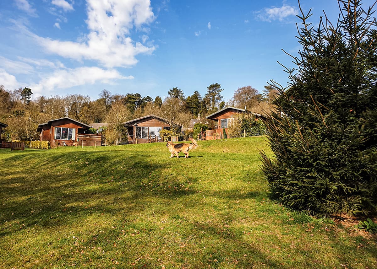 Rudyard Lake Lodges - Holiday lodge in Central England - Image 1