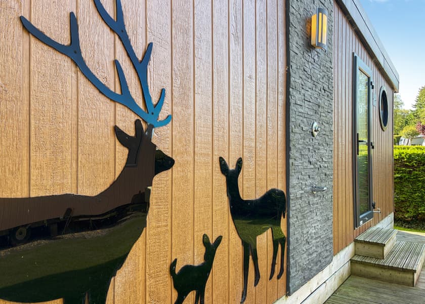 Glamping Hive Pet Friendly - Royal Umpire Holiday Park, Leyland