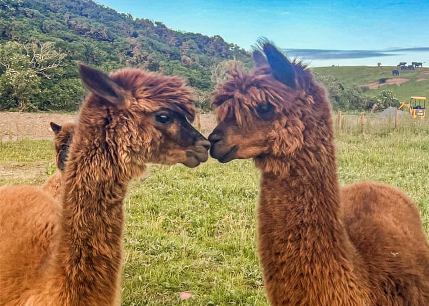 Ryan Bay Holiday Park, Innermessan, Dumfries and Galloway