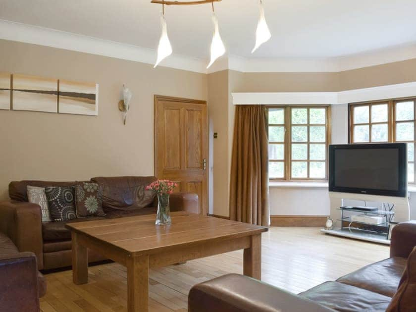 Spacious, comfortable living room | Springfields, Leek