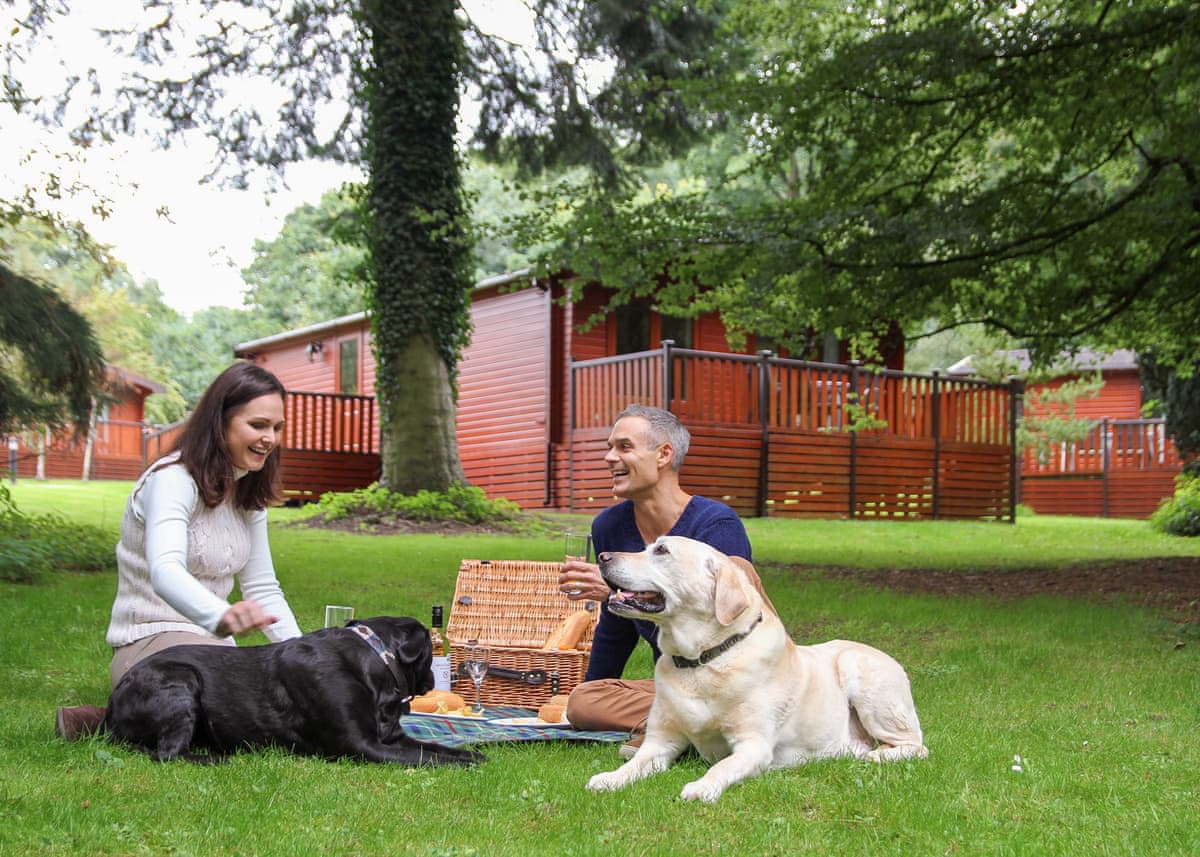 Sandybrook Lodges - Holiday lodge in Central England - Image 5
