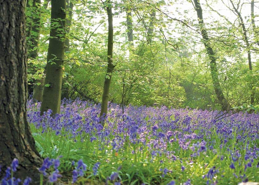 Sandybrook Lodges, Ashbourne