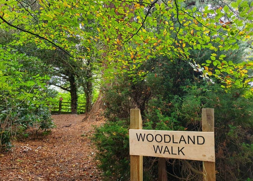 Sandybrook Lodges, Ashbourne