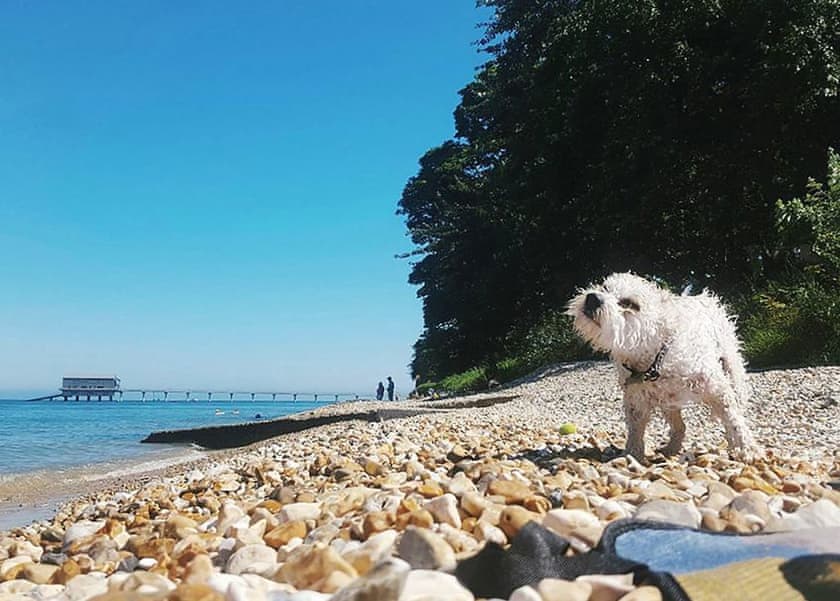 Salterns Village, Seaview