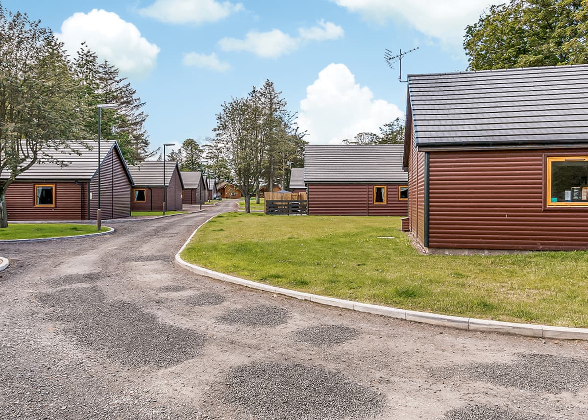 St Andrews Forest Lodges - Holiday lodge in Central Scotland - Image 3