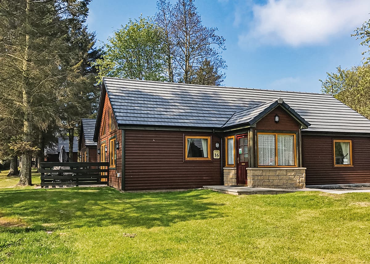 St Andrews Forest Lodges - Holiday lodge in Central Scotland - Image 4