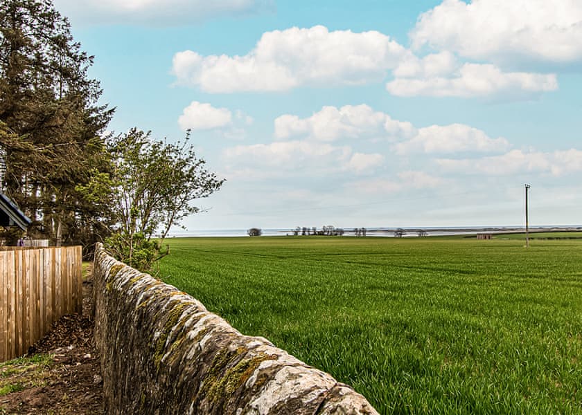 Lawrie Plus - St Andrews Forest Lodges, Kincaple, St Andrews