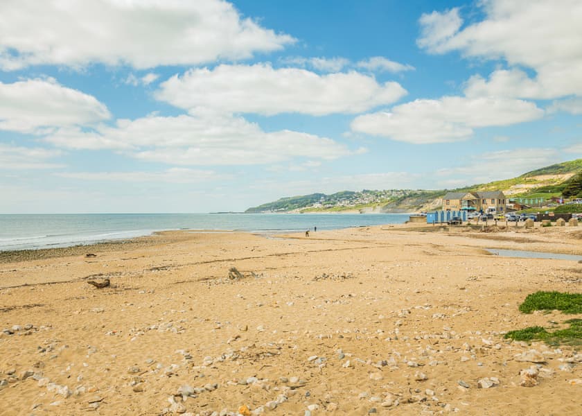 Seadown Park, Charmouth