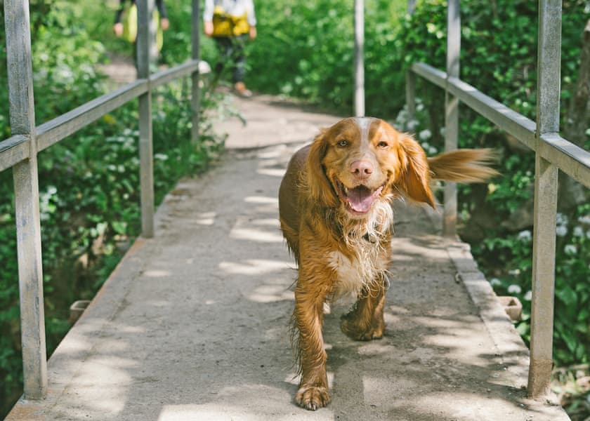 Sun Haven Holiday Park, Mawgan Porth, Nr Newquay