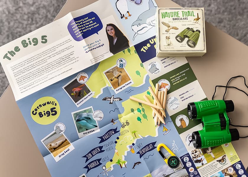 Superior 3 Bed (Pet) - Sun Haven Holiday Park, Mawgan Porth, Nr Newquay