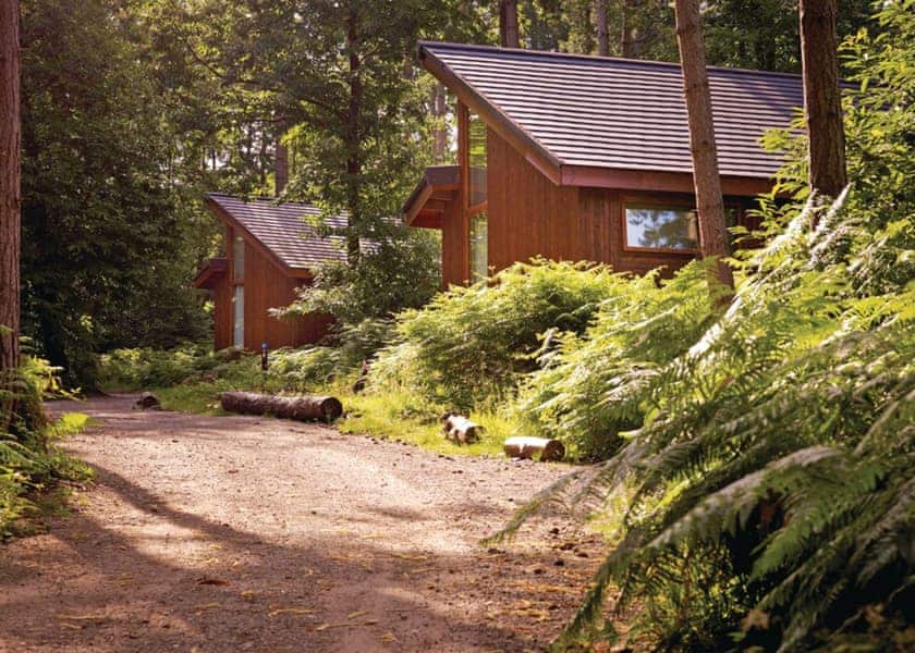 The park setting | Sherwood Forest Lodges, Sherwood Forest, Nr Edwinstowe