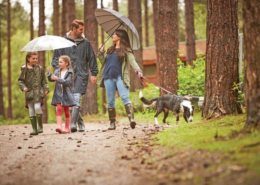 The park setting | Sherwood Forest Lodges, Sherwood Forest, Nr Edwinstowe