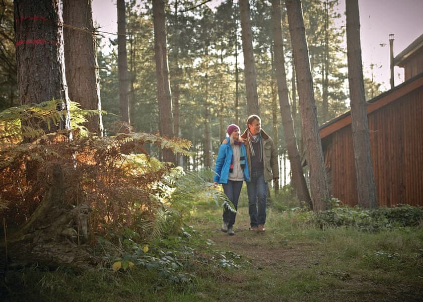The park setting | Sherwood Forest Lodges, Sherwood Forest, Nr Edwinstowe
