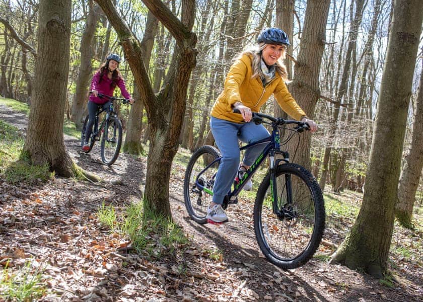 Sherwood Forest Lodges, Sherwood Forest, Nr Edwinstowe