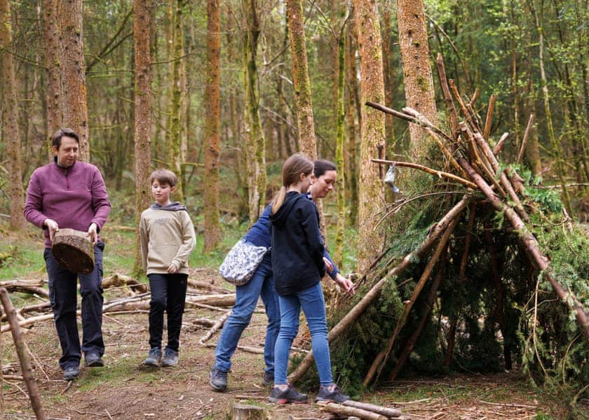 Sherwood Forest Lodges, Sherwood Forest, Nr Edwinstowe