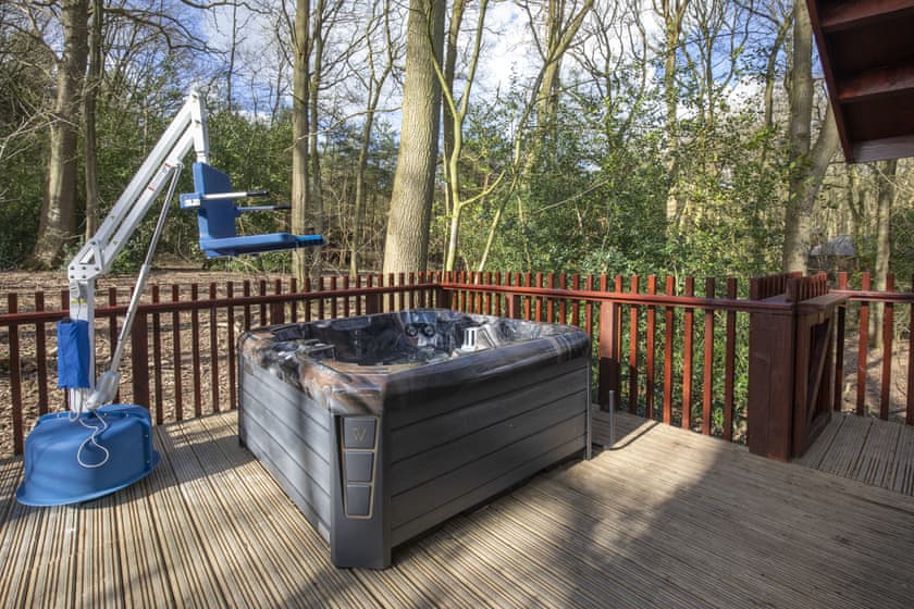 Silver Birch 2 WF (Pet) - Sherwood Forest Lodges, Sherwood Forest, Nr Edwinstowe