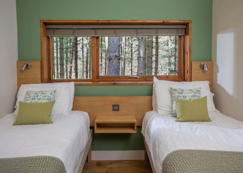 Golden Oak 3 (Pet) - Sherwood Forest Lodges, Sherwood Forest, Nr Edwinstowe