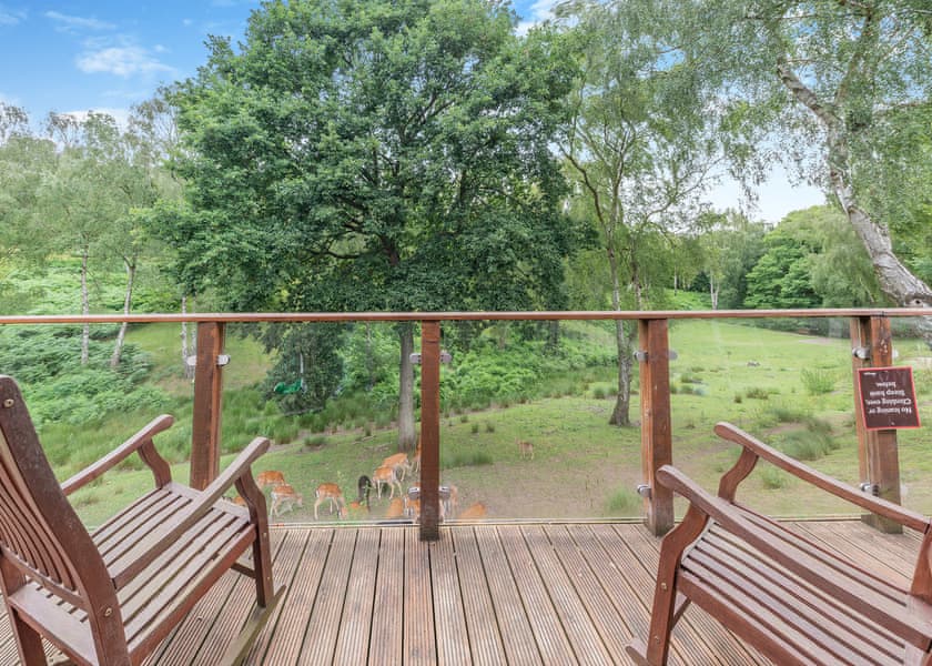 Fawn View Lodge - Silver Trees, Cannock Chase