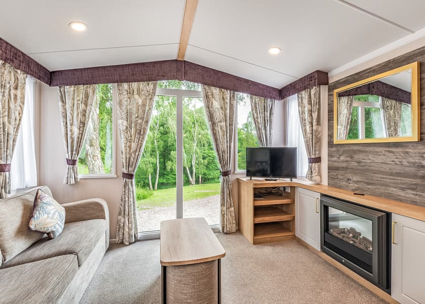 Elderberry - Silver Trees, Cannock Chase
