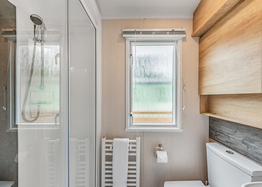 Elderberry - Silver Trees, Cannock Chase