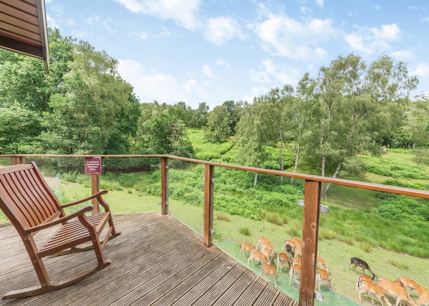 Doe View Lodge - Silver Trees, Cannock Chase