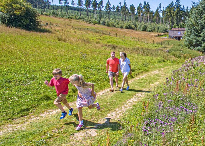 The park setting | Springhouse Country Park, Slaley, Hexham