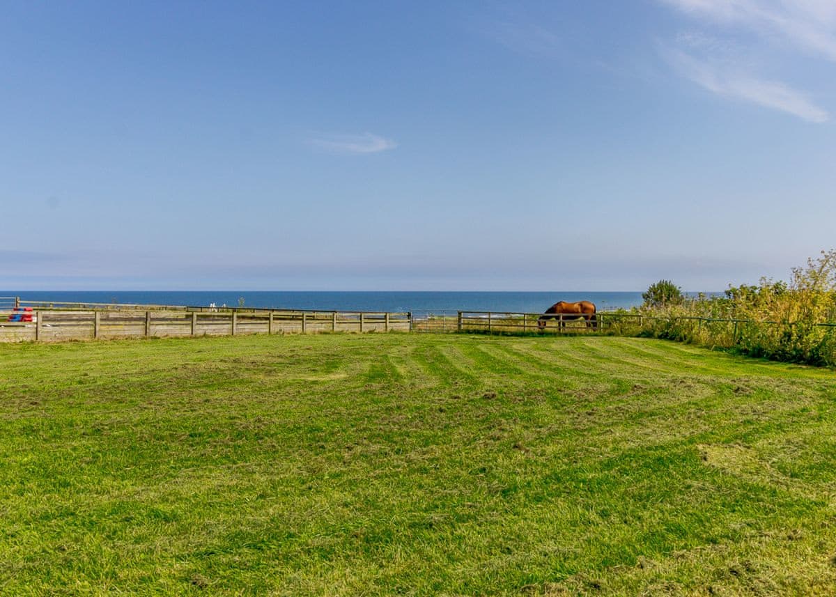 Sandy Park - Image 2