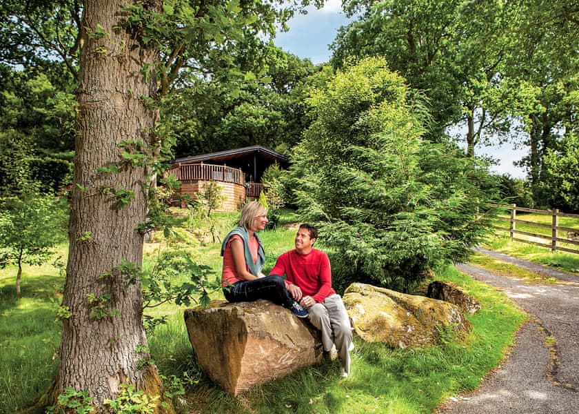 Springwood Lodges, Harrogate