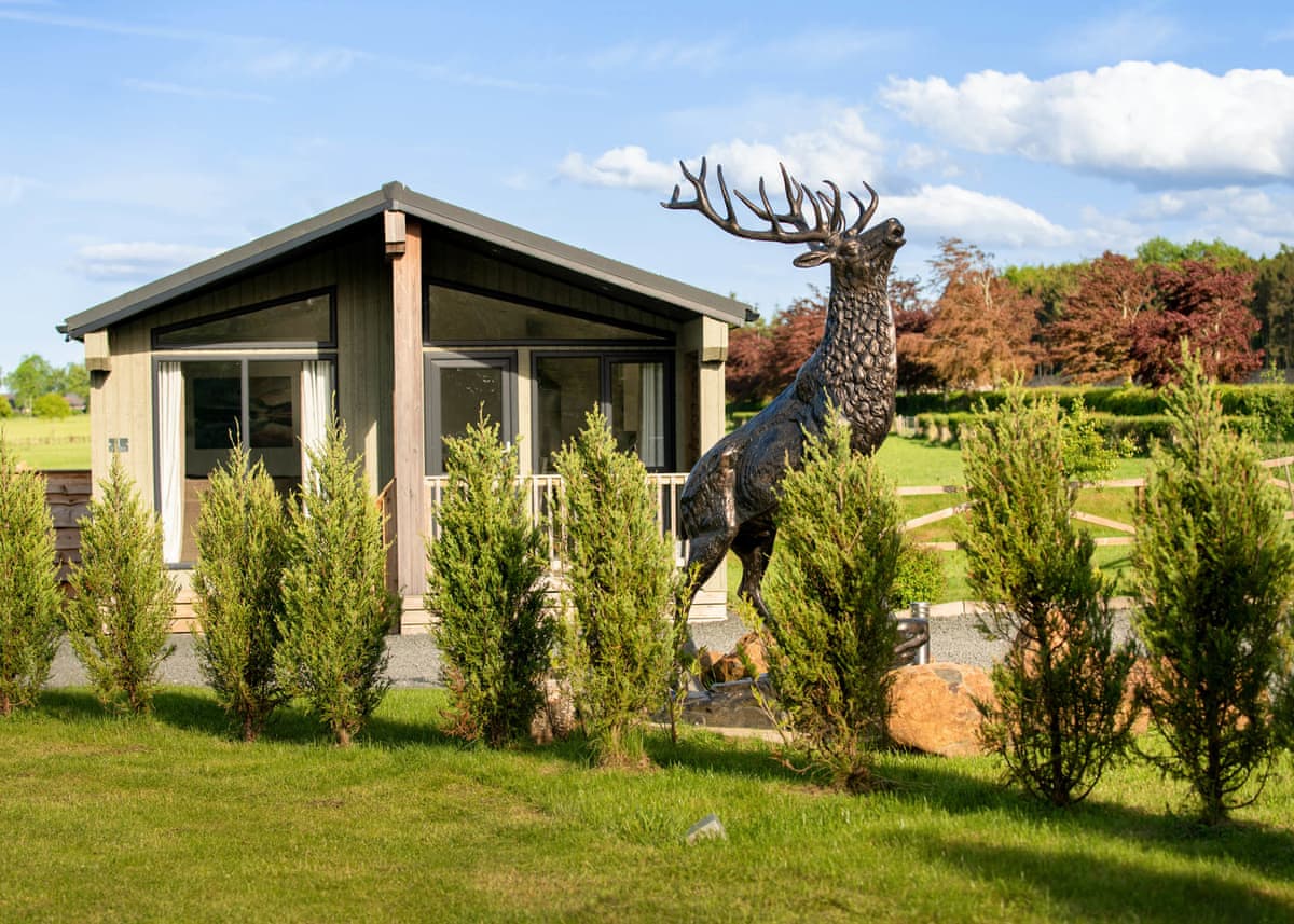 Silverwood Resort - Holiday lodge in Central Scotland - Image 5