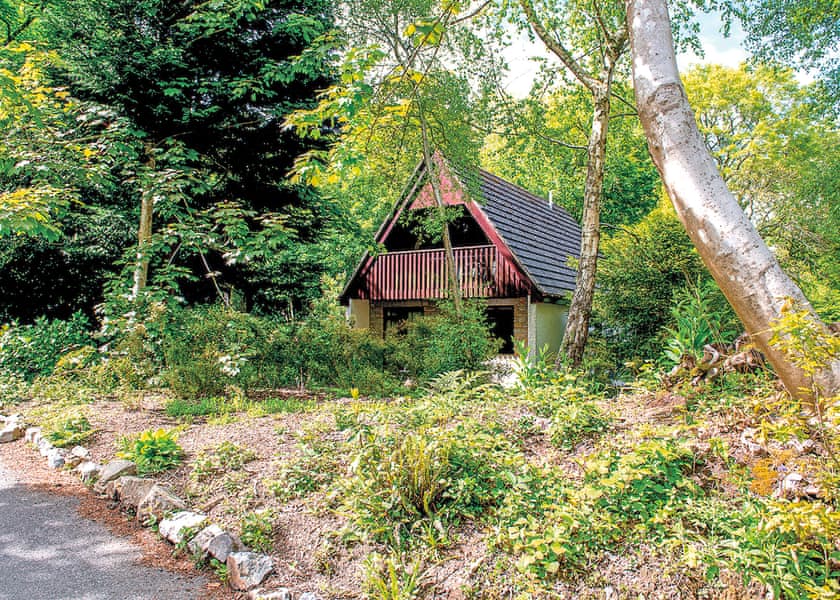 Typical SI 4 Bed Woodland Lodge (Sat) | St Ives Holiday Village, Lelant, St Ives